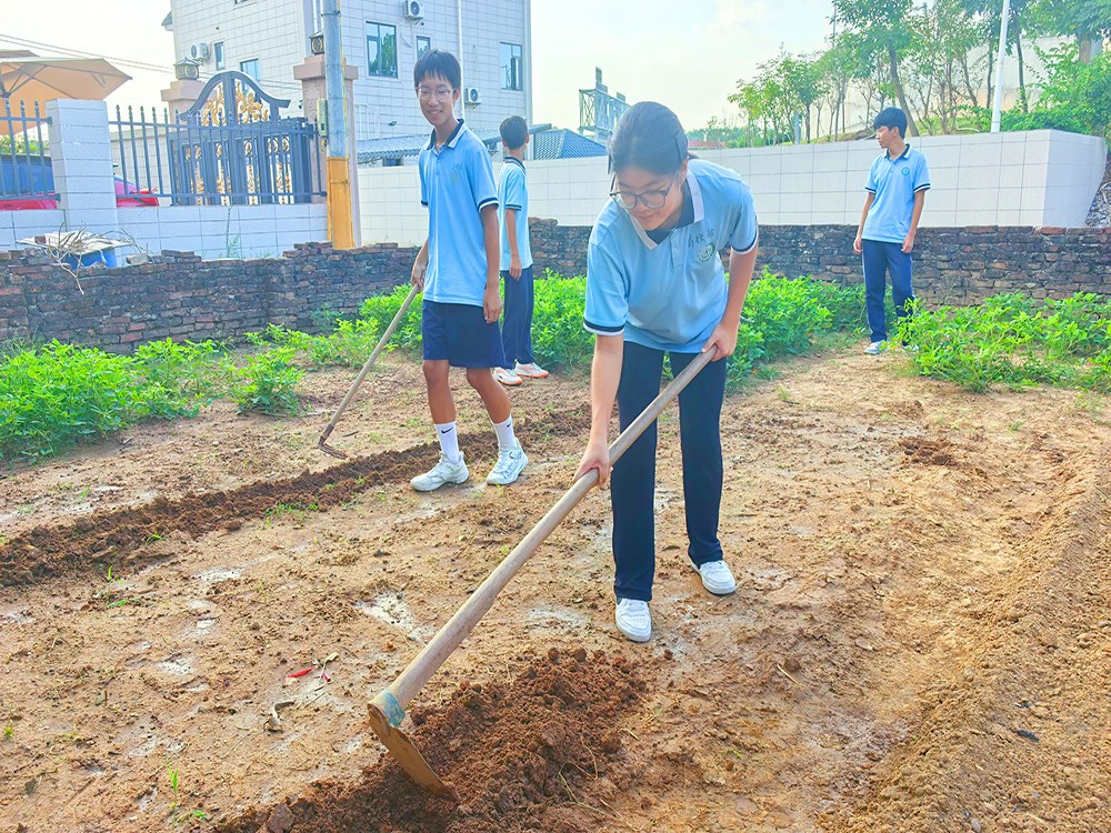 德阳正规叛逆少年管理学校2026家长择校指南